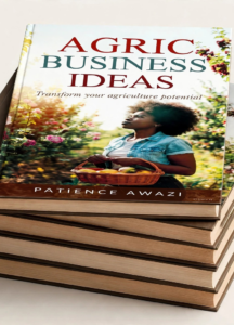 business ideas